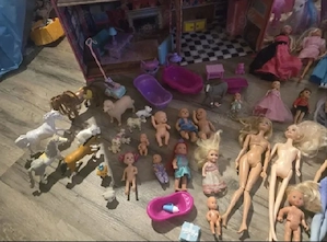 Barbies mit Zubehör 