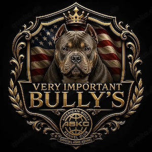 American pocket bully Extra class