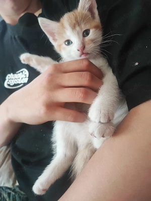 2 Mädchen suchen noch ein Zuhause 