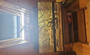 Exo Terra Terrarium 90x45x45 mit Unterschrank & Zubehör