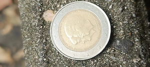 2 euro königen der niederlande 