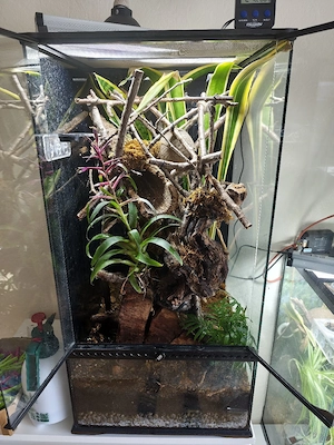 Exoterra Terrarium 45x45x90 (LxBxH), incl Top Technik
