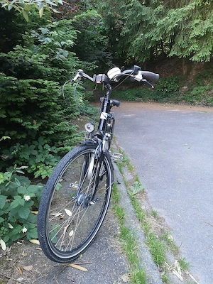 Kalkhoff Komfort E-Bike | NEUER AKKU (2022) | Shimano 8-Gang |Nabenschaltung | Mittelmotor 