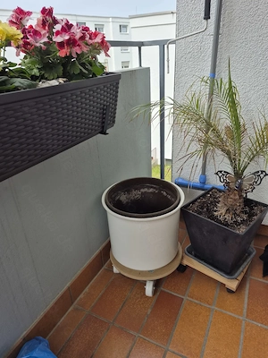 Weißer Keramik Ülbertopf 