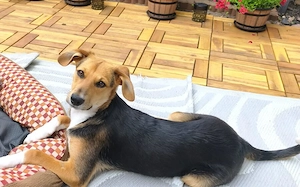 Die kleine Thea wartet auf ihre Familie