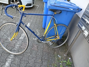 rennrad preiswert