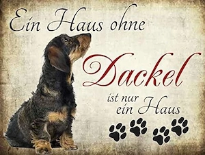 Dackel jungs 