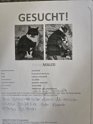 Wir vermissen unsere Katze 