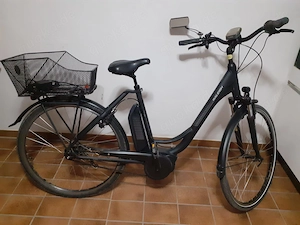 Raleigh Cardiff LB 7R 500 Wave Pedelec E-Bike