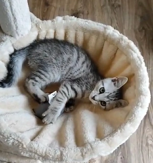 BKH.mix Mädchen 
