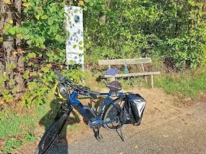 Herren E-Bike