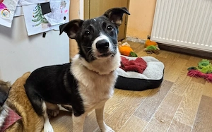 Ella ist bereit für ein neues Leben