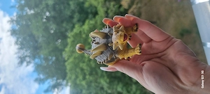3x Ravensburg Tiptoi Dinos 