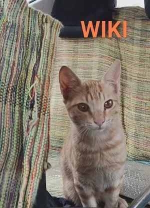 Wiki (und Mariuca) bei München (ALO) Bild 2