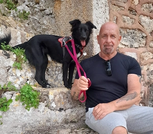 Wohnung auf Mallorca gesucht 
