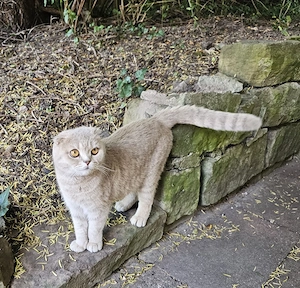 Lilly sucht Liebevolle Familie