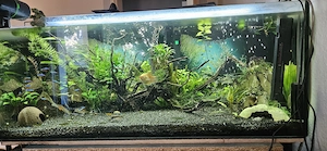 Aquarium mit allem Zubehör 