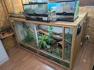 OSB Terrarium, sehr groß, auf Wunsch mit Deko