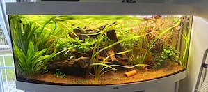 Juwel Aquarium 450l