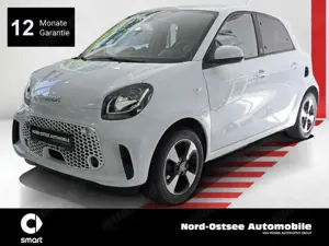 smart forFour EQ  passion COOL  AUDIO LED 22 KW Lader