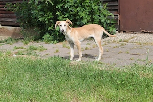 Oscar, geb. Jan. 2026