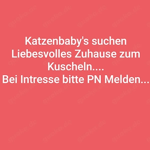 Zu verschenken. 