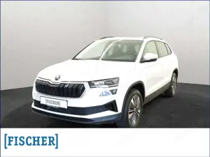 Skoda Karoq BALANCE 2.0TDI 4x4 DSG Matrix AHK ACC Navi beh. WS