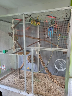 Suger Glider Bild 8