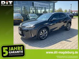 Lexus UX 250h UX 250 h F Sport Design ACC+LED+SHZ+2xKlima+Kam.