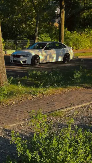 BMW 316 316i