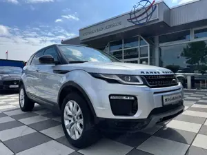 Land Rover Range Rover Evoque SE -Leder -Navi-Pano