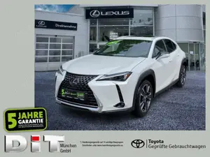 Lexus UX 250h UX 250 h 250h Executive Line zuverlässiger GW