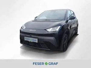 BYD Dolphin Surf 65 kW Boost ACC Klima Navi RüKa 16"