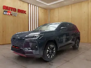 Toyota Others RAV4 Hybrid 4x4 Teamplayer