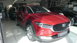 Mazda CX-30 2.5L 140PS Exclusive-Line Automatik