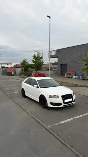 Audi S3 Zahnriemen Neu, sportauspuff