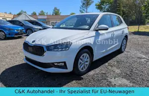 Skoda Fabia 130 Jahre 1.0 TSI 70 kW / 95 PS 5-Gang
