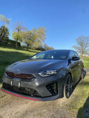 Kia ProCeed / pro_cee'd 1.6 T-GDI GT / Keramik / Tiefer / 19 Zoll / Klappe