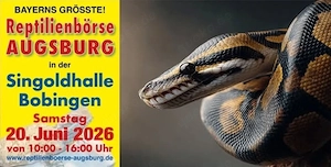 Reptiliennachzuchten für Börse Bobingen 