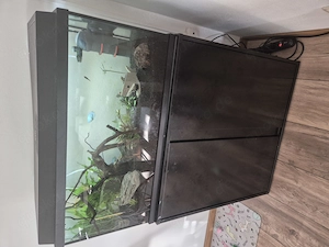 Aquarium 120L komplett 