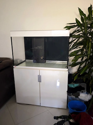 Meerwasseraquarium 300L