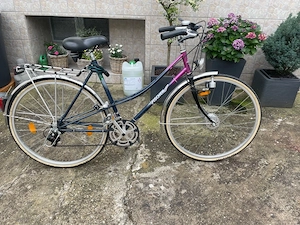 Damen Fahrrad