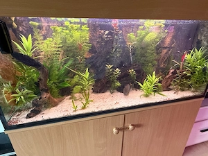 komplettes aquarium 