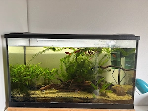 Aquarium zu verschenken