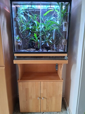 Rana-Terrarium inkl. kompletter Technik & Besatz - sofort startklar!