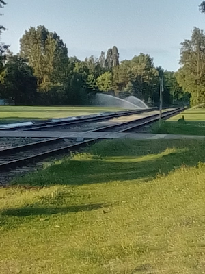 Ich betreue ältere Menschen  Berlin