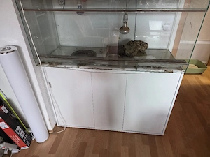 Terrarium 