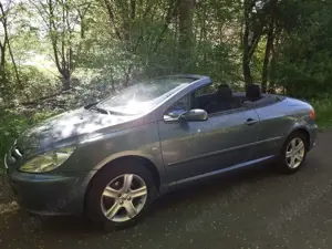 Peugeot 307 CC 110 Filou