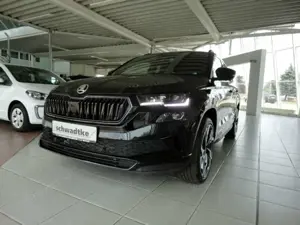 Skoda Karoq Sportline TSI 7-Gang-DSG Matrix, Canton, Area View