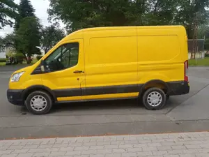 Ford Transit Kasten 330 L2H2 Mild Hybrid Regalsystem